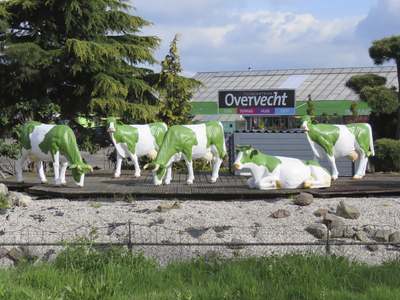 908186 Afbeelding van enkele groenwitte kunstkoeien bij de ingang van Tuincentrum Overvecht (Gageldijk 3) te Utrecht.